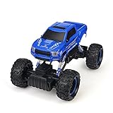 DOUBLE E 4 Wheel Drive Rechargable RC Car Rock Crawler Dual Motors Remote Control Truck With Strong Climb Ability