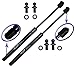 Two Rear Glass Gas Charged Lift Supports For 98-04 Isuzu Rodeo, 01-03 Isuzu Rodeo Sport, 98-02 Honda Passport, 99-00 Isuzu Amigo. Left and Right Side. WGS-199-2