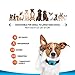 SparklyPets Humane Dog Bark Collar | Anti Barking Training Collar | Vibrating, No Shock Stop Barking for Small Medium Large Dogs | Upgraded 2019 Pet Corrector (1 Pack)