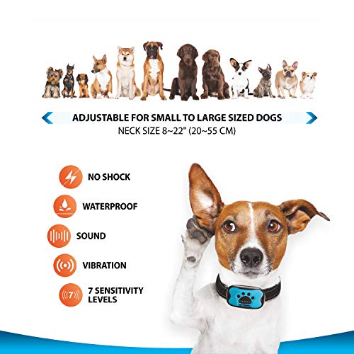 pet corrector collar