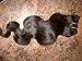 10-28 inch Indian 100% TRUE VIRGIN Remy Human Hair Extensions Natural Wave #1B Weave (10