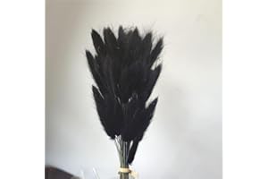 EEAIVNM 60PCS Rabbit Tail Grass Dried Flowers Dried Natural Floral Arrangement Bunch Decoration Dried Grass,Eternal Flower Dried Grass for Home,Wedding,Party,Flower Bouquet,Photo Props Decor (Black)