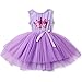 NNJXD Girl Shinny Stripe Baby Girl Printed Tutu Dress Size (100) 2-3 Years Gold&Purple