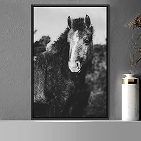 signwin Framed Canvas Wall Art High Contrast Horse...