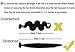 Wighairbeauty Peruvian Virgin Hair Straight Human Hair Weave 50g/1.76oz Bundle Total 50g