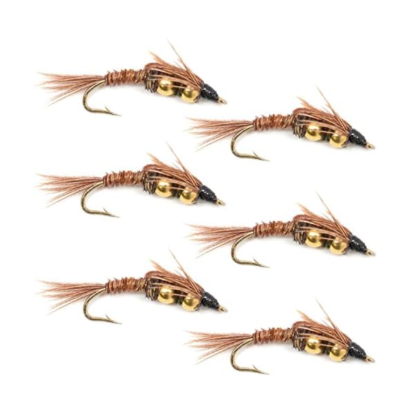 Double-Bead-Pheasant-Tail-Nymph-Fly-Fishing-Flies-Trout-and-Bass-Wet-Fly-Pattern-6-Flies-Hook-Size-14