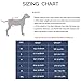 LOOBANI Dog Support Harness for Back Legs, Lift Rear Mobility Aids for Aging, Injuries and Rehabilitation After Surgery (XXL)