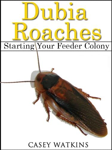 Dubia Roaches: Starting a Feeder Colony (Reptile Care Guides)