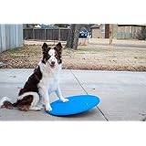 fitpaws giant rocker board