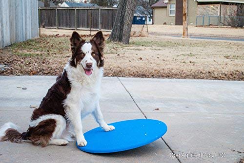 Dog Agility Equipment Wobble Board 24" | Blue - Thumbnail 7