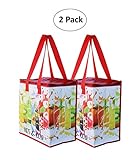 Earthwise Large Insulated Reusable Shopping Bag (2 Pack)
