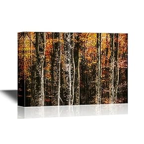 Forest Canvas Wall Art - Beech Trees in Autumn - Gallery Wrap Modern Home Art | Ready to Hang - 12x18 inches