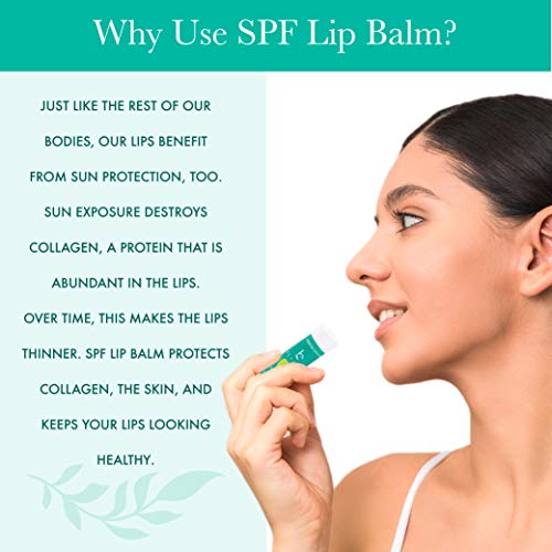 SPF Lip Balm Pack SPF 15 Reef Friendly, Water Resistant Lip Sunscreen