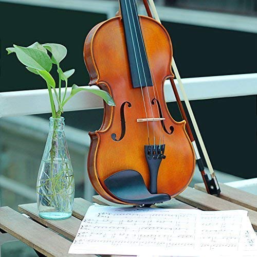Mugig Violin, Solidwood Ebony Fitted with Hard Case, with Violin Bow, Rosin and Extra Strings, Suitable for Beginners and Students (4/4, Full-size)
