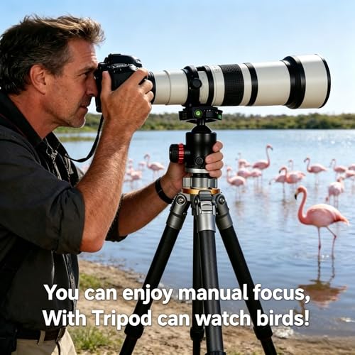 Telephoto Lens EF/EF-S JINTU 650-1300mm F8 Zoom Lens for Canon EOS SLR 4000D 2000D 80D 90D 5D III 6D 7D II 60D 70D 250D 750D 760D 1200D 1300D 1500D 650D 550D 0D 4500 D 400D Nikon D90 D5600 D780 D3200