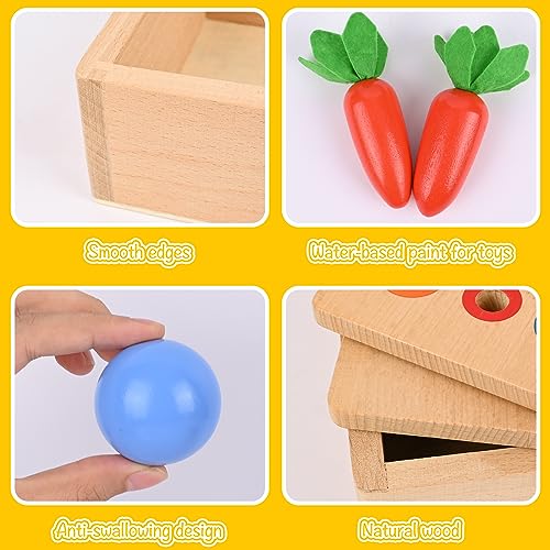 Comius Sharp 4 in 1 Wooden Montessori Toys - Coin Box, Carrot Collection, Sticks for Color Matching and Motor