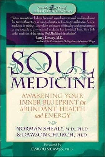 Download Soul Medicine: Awakening Your Inner Blueprint for Abundant Health and Energy PDF