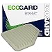 ECOGARD XA5707 Premium Engine Air Filter Fits 2005-2010 Chevrolet Cobalt, 2007-2010 Pontiac G5, 2005-2006 Pursuit, 2006 G4