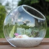 Mkono Plant Terrarium Display Glass Tabletop Succulent Air Plant Planter Globe Microlandschaft House, S