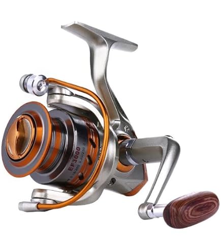 Yumoshi Fishing Spinning Reel 12 BB Whole Metal Line Cup, Affordable Smooth Reel with Graphite Body (EF2000) : Sports & Outdoors