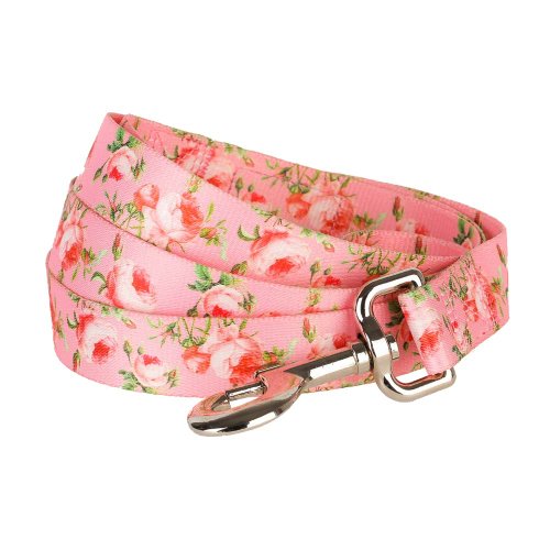 Blueberry Pet 9 Patterns Durable Spring Scent Inspired Floral Rose Baby Pink Dog Leash 5 ft x 5/8", Small, Leashes for Dogs