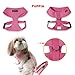 Puppia Soft Dog Harness No Choke Over-The-Head Triple Layered Breathable Mesh Adjustable Chest Belt and Quick-Release Buckle, Pink, X-Small