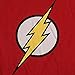 Flash Lightning Bolt Logo Youth Kids Boys T Shirt