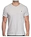 Polo Ralph Lauren Men's Classic Fit V-Neck T-Shirt
