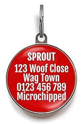 Seizure Alert Dog Tag – Add Your Info to The Back