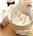VANILLA BUTTERCREAM Fragrance Oil - Fresh churned butter, sugar, and creamy vanilla bean - By Oakland Gardens