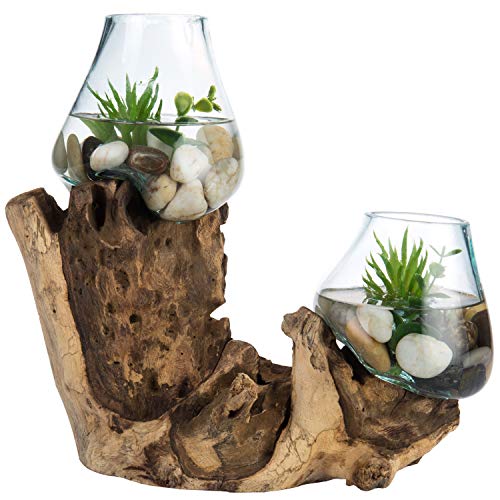 MyGift 2 Clear Handmade Molten Glass Terrarium Bowls with Natural
