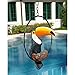 Design Toscano Touco The Tropical Toucan Sculpture on Ring Perch, 18inch, Black