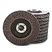 SI FANG 60 Grit Flap Discs 4