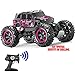 Simccppley Remote Control Car Pink 360° Stunt Tumbling Waterproof Monster Truck, Can Control The Toy