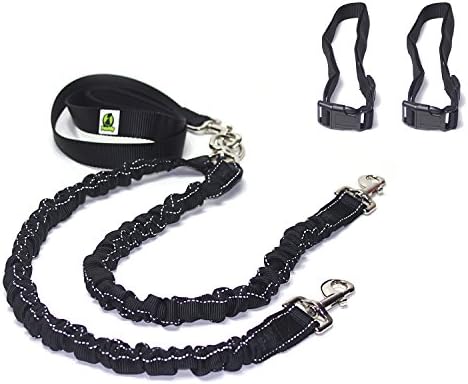 2 Dog Leash for Medium to Large Dogs - Bungee, Reflective, Tangle Free, Bonus Dog Collar and Training Ebooks
