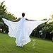 Dance Fairy Belly Dance Silk-Like Isis Wings with Sticks
