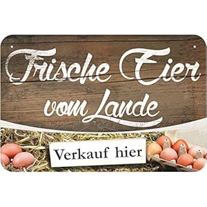 Schild Frische Eier vom Lande Aluminium-Verbundmaterial 3mm stark 20 x 30 cm