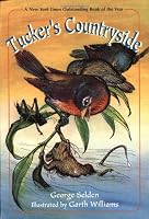 Paperback edition cover