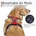 rabbitgoo Dog Harness, No-Pull Pet Harness with 2 Leash Clips, Adjustable Soft Padded Dog Vest, Reflective No-Choke Pet Oxford Vest with Easy Control Handle for Large Dogs, Red, L