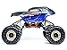 Rockslide RS10 Xt 1/10 Scale Crawler (Black/Blue)