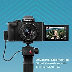 Panasonic LUMIX G100 Mirrorless