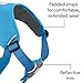 Ruffwear, Web Master, Multi-Use Support Dog Harness, Hiking and Trail Running, Service and Working, Everyday Wear, Blue Dusk, Small