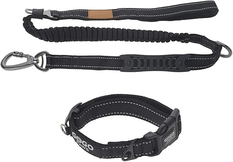 Gogo Juego de Correa y Collar para Perro, Correa elástica ...