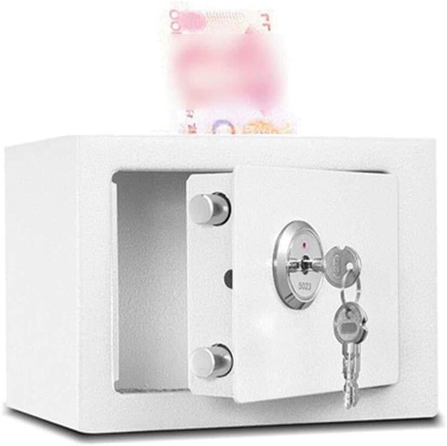 DLILI Caja Fuerte Llaves, Caja Fuerte Acero depósito Dinero 170 mm