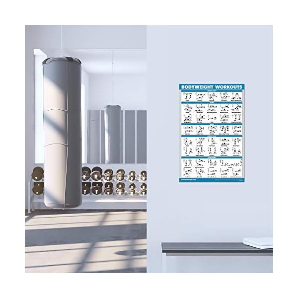 10 Pack - Exercise Workout Poster Set - Dumbbell, Suspension, Kettlebell, Resistance Bands, Stretching, Bodyweight, Barbell, Yoga Poses, Exercise Ball, Muscular System Chart (LAMINATED,18" x 24") - Image 8