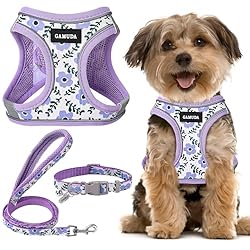 GAMUDA Small Pet Harness Collar and Leash Set, Step