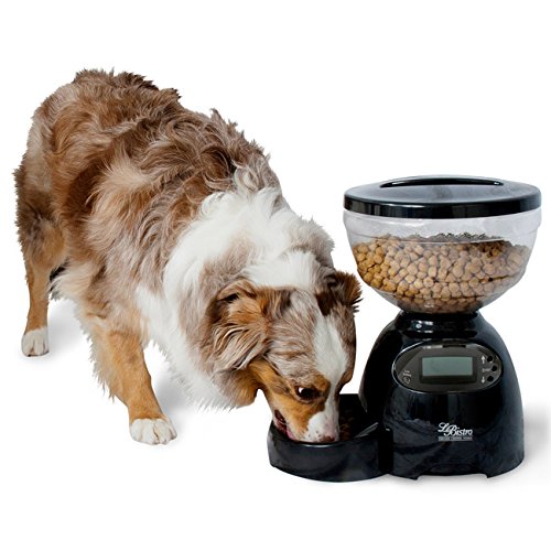 Petmate Lebistro 10 Pound Portion Control Feeder With Removable