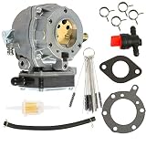 CQYD New 693480 Carburetor for Briggs & Stratton 693480,693479,694056 Replaces 499306, 495181, 495026,499305, 499307