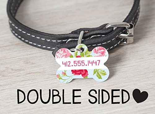 how to train dog to stay in crate