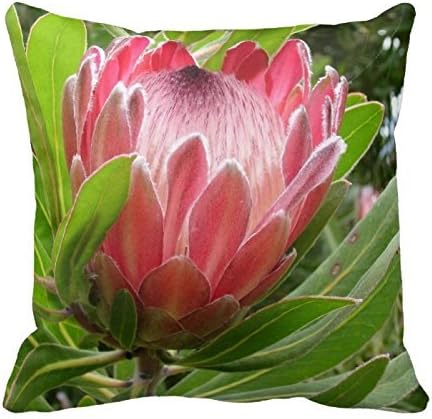 Palilla Store Throw Pillow Case Home Decorative Cushion Cover 45*45cm Protea